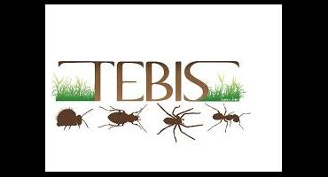 logo tebis